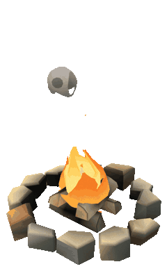 A campfire burning